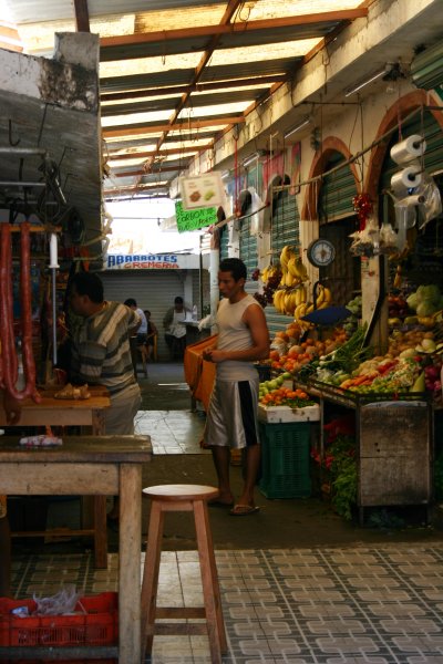 You will find everything you need